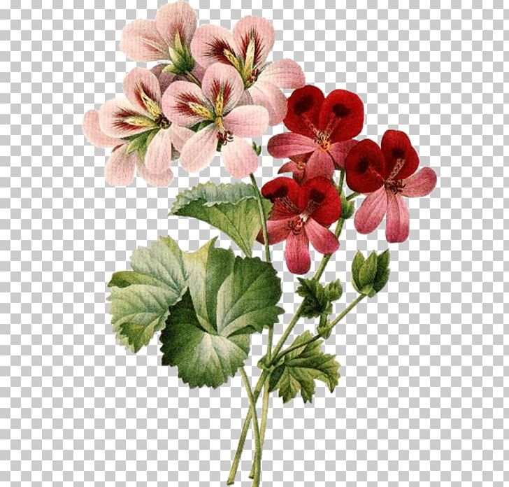 Floral Design Cut Flowers Vintage Clothing PNG, Clipart, Annual Plant, Artificial Flower, Botany, Floral Design, Flower Free PNG Download