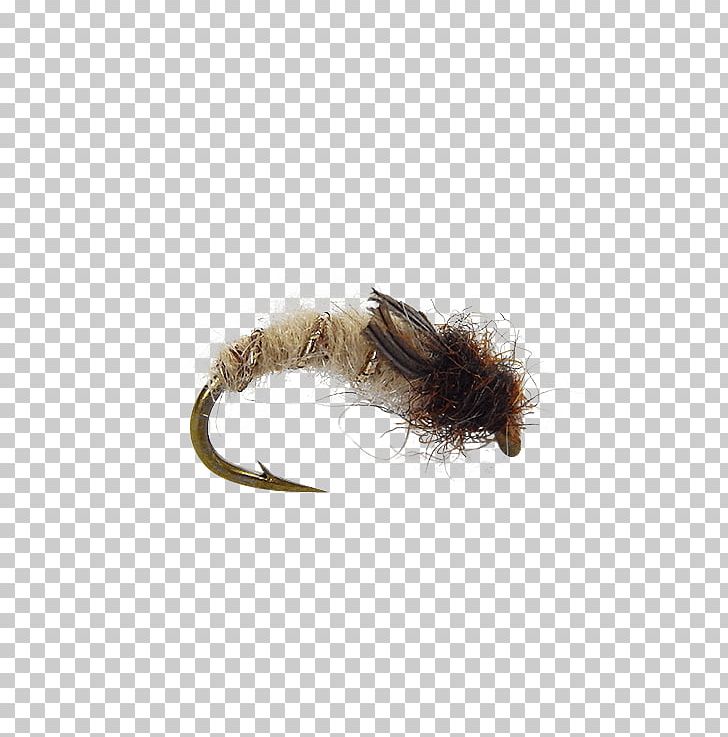 Nymph Pupa Caddisflies Fly PNG, Clipart, Black Tie, Cream, Fly, Fur, Gift Card Free PNG Download