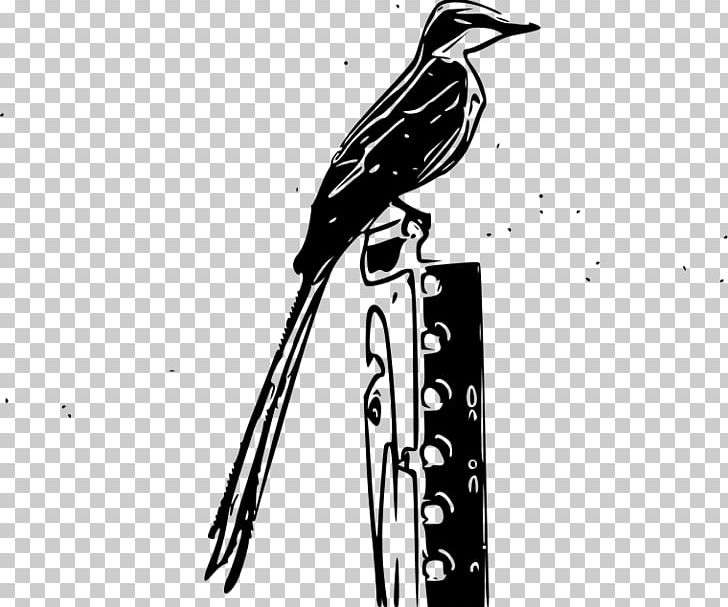 Bird Passerine Vertebrate Scissor-tailed Flycatcher PNG, Clipart, Animal, Animals, Art, Beak, Bird Free PNG Download