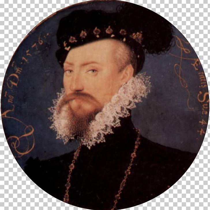 Robert Dudley PNG, Clipart, Amy Robsart, Beard, Dudley, Earl, Earl Of Essex Free PNG Download