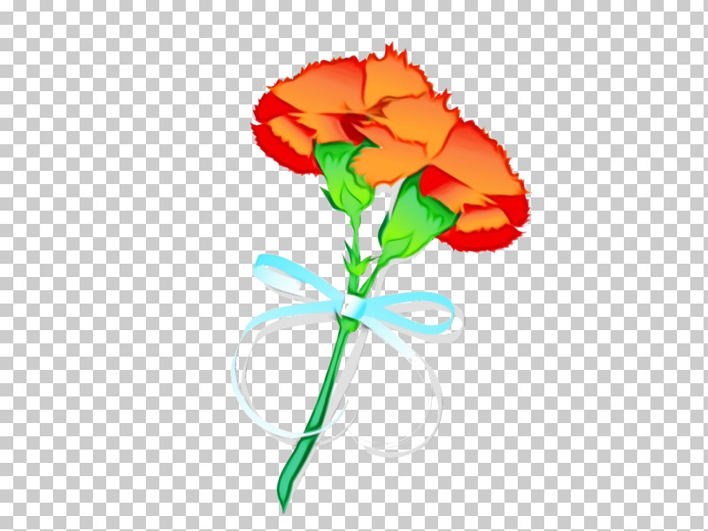 Orange PNG, Clipart, Bouquet, Coquelicot, Cut Flowers, Flower, Orange Free PNG Download