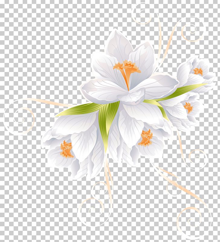 Flower PNG, Clipart, Art White, Branch, Clipart, Clip Art, Computer Wallpaper Free PNG Download