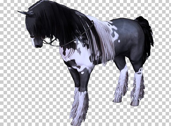 Mane Mustang Stallion Halter Mare PNG, Clipart, Black Desert, Bridle, Dog Harness, Halter, Horse Free PNG Download