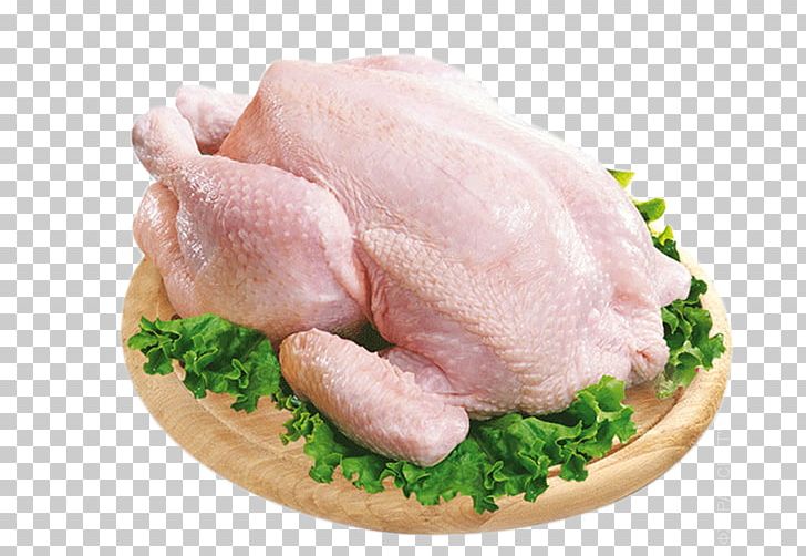 Meat Broiler Bird Chicken Anser PNG, Clipart, Animal Fat, Animal Source Foods, Anser, Bird, Broiler Free PNG Download