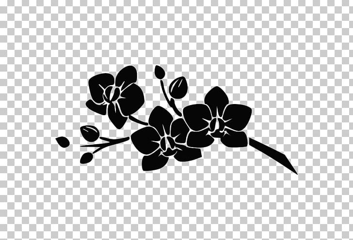 Orchids Flower PNG, Clipart, Black And White, Branch, Drawing, Flora, Floral Free PNG Download