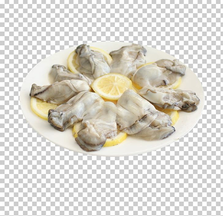 Oyster Clam Shellfish Seafood PNG, Clipart, Animal Source Foods, Aquatic, Clams Oysters Mussels And Scallops, Delicious, Delicious Free PNG Download