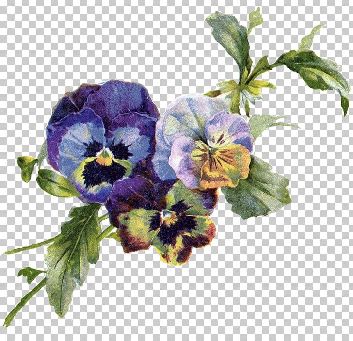 Pansy Art Violet PNG, Clipart, Annual Plant, Art, Artist, Blog, Clip Art Free PNG Download