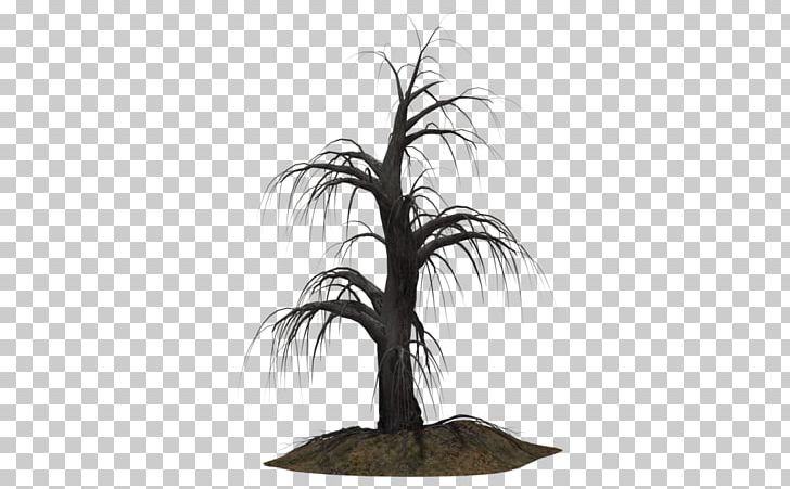 Tree Shrub Plant Arecaceae PNG, Clipart, 3d Computer Graphics, Arecaceae, Arecales, Art, Creepy Free PNG Download