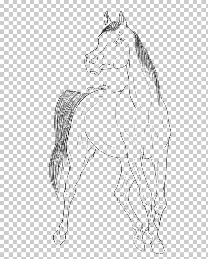 Arabian Horse Mustang Foal Pony Clydesdale Horse PNG, Clipart, Animal Figure, Arabian Horse, Arm, Artwork, Black And White Free PNG Download