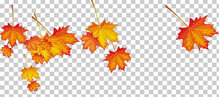 Autumn Leaf Computer File PNG, Clipart, Autumn, Autumn Leaf Color, Autumn Leaves, Autumn Tree, Deadwood Free PNG Download