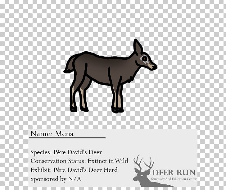 Cattle Deer Horse Goat Dog PNG, Clipart, Animals, Black And White, Canidae, Carnivoran, Cattle Free PNG Download