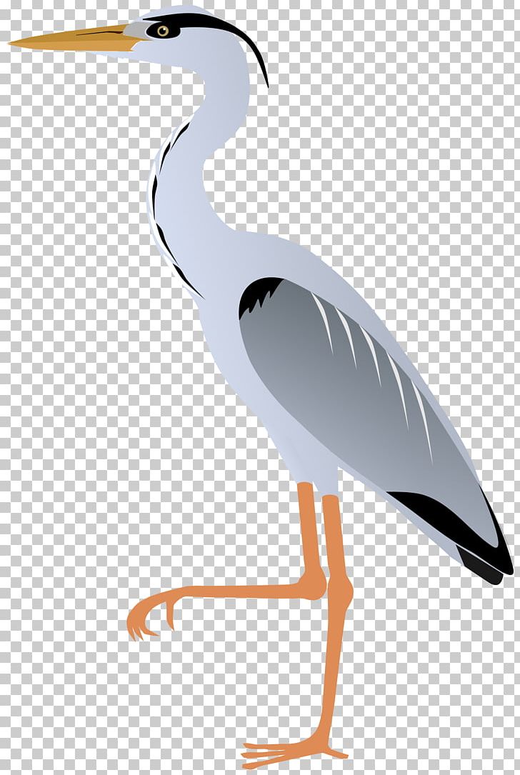 Crane Bird Grey Heron Great Egret Great Blue Heron PNG, Clipart, Ardea, Beak, Bird, Blue, Ciconiiformes Free PNG Download