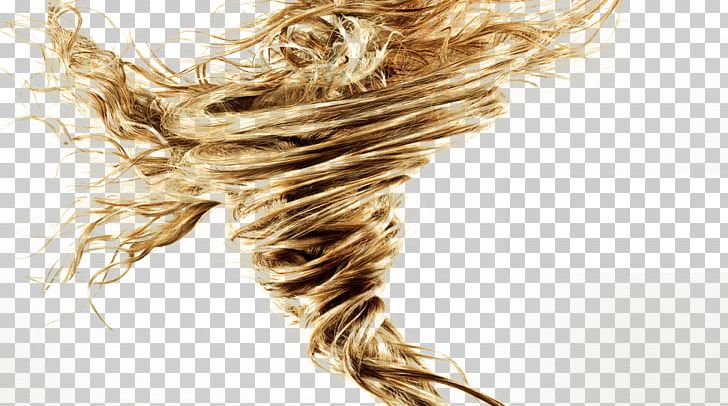 Advertising Agency Hair Care Pantene PNG, Clipart, Advertising, Advertising Campaign, Art, Art Director, Brand Free PNG Download