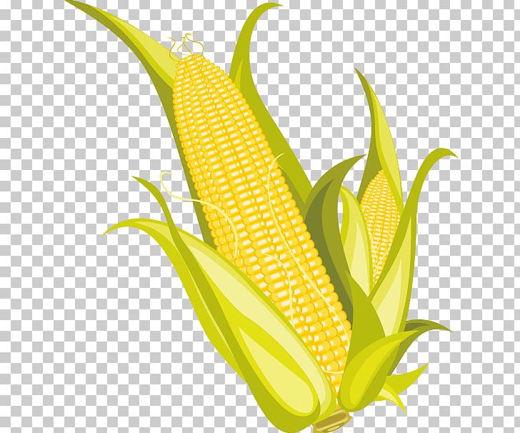 Corn On The Cob Corn Flakes Popcorn Maize PNG, Clipart, Cart, Commodity, Corn, Corncob, Corn Kernel Free PNG Download