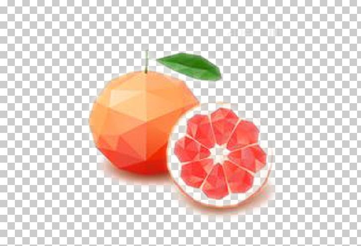 Fruit Geometry PNG, Clipart, Citrus, Color, Encapsulated Postscript, Food, Fruit Free PNG Download