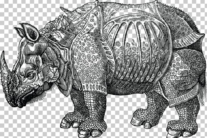 Historia Animalium Dürer's Rhinoceros Zoology Francis Trigge Chained Library PNG, Clipart,  Free PNG Download