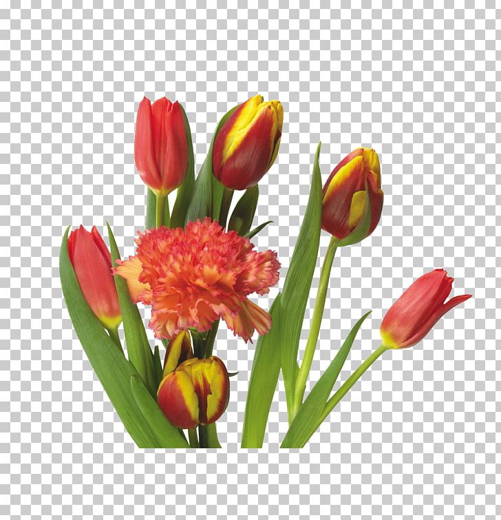 Indira Gandhi Memorial Tulip Garden Flower PNG, Clipart, Artificial Flower, Cut Flowers, Decoration, Designer, Encapsulated Postscript Free PNG Download