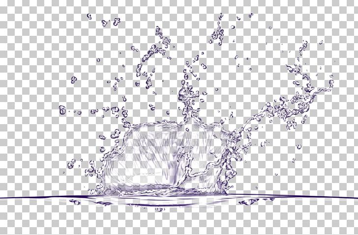 Water Drop PNG, Clipart, Area, Black And White, Branch, Download, Drawing Free PNG Download