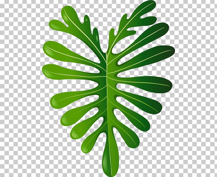 Leaf PNG, Clipart, Depositphotos, Drawing, Grass, Green, Organism Free PNG Download
