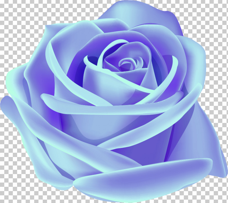 One Flower One Rose Valentines Day PNG, Clipart, Blue, Blue Rose, Floribunda, Flower, Garden Roses Free PNG Download