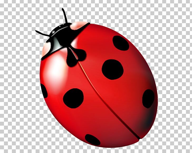 Beetle Web Browser Baidu Wangpan PNG, Clipart, Animals, Baidu Wangpan, Beetle, Coccinella, Coccinelle Free PNG Download