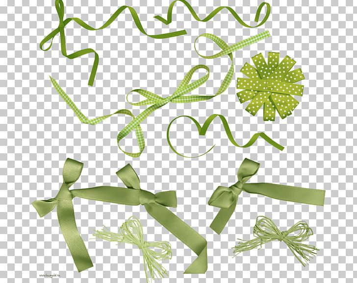 Blue Green Gift PNG, Clipart, Blue, Branch, Flora, Flower, Gift Free PNG Download