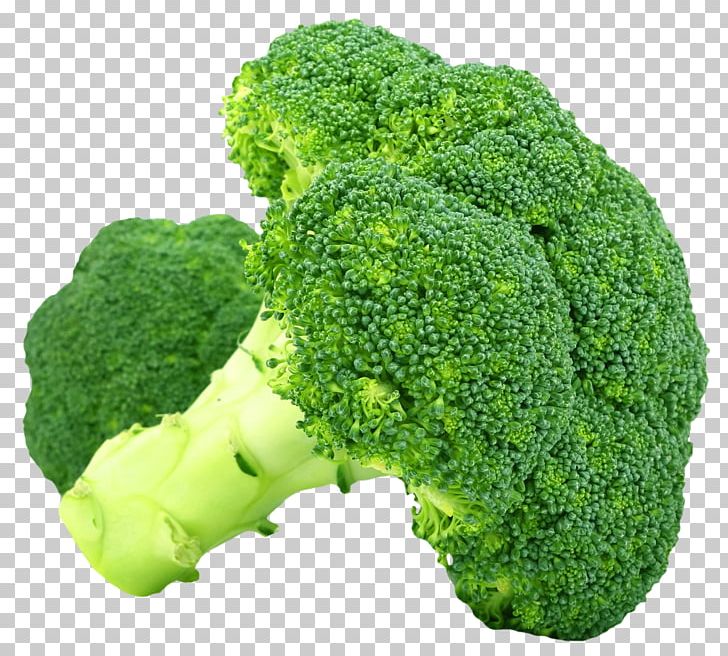 Broccoli Vegetable PNG, Clipart, Brassica Oleracea, Broccoli, Cabbage, Cauliflower, Cheese Soup Free PNG Download
