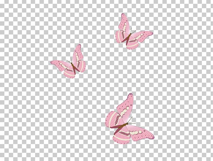 Elements PNG, Clipart, Butterflies, Butterfly, Butterfly Group, Butterfly Wings, Color Free PNG Download
