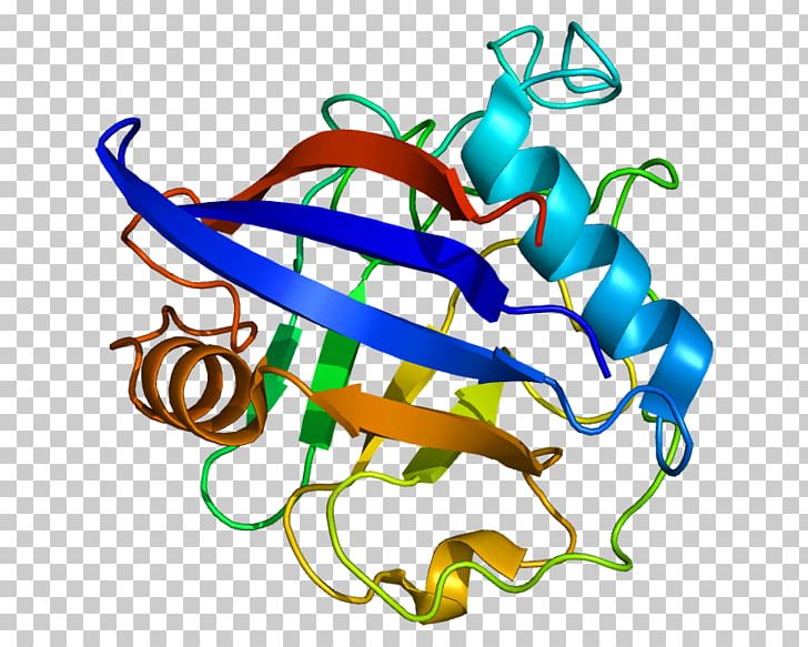 Gene Triosephosphate Isomerase Nucleic Acid Sequence DNA PNG, Clipart, Area, Artwork, Biosynthesis, Dna, Gene Free PNG Download