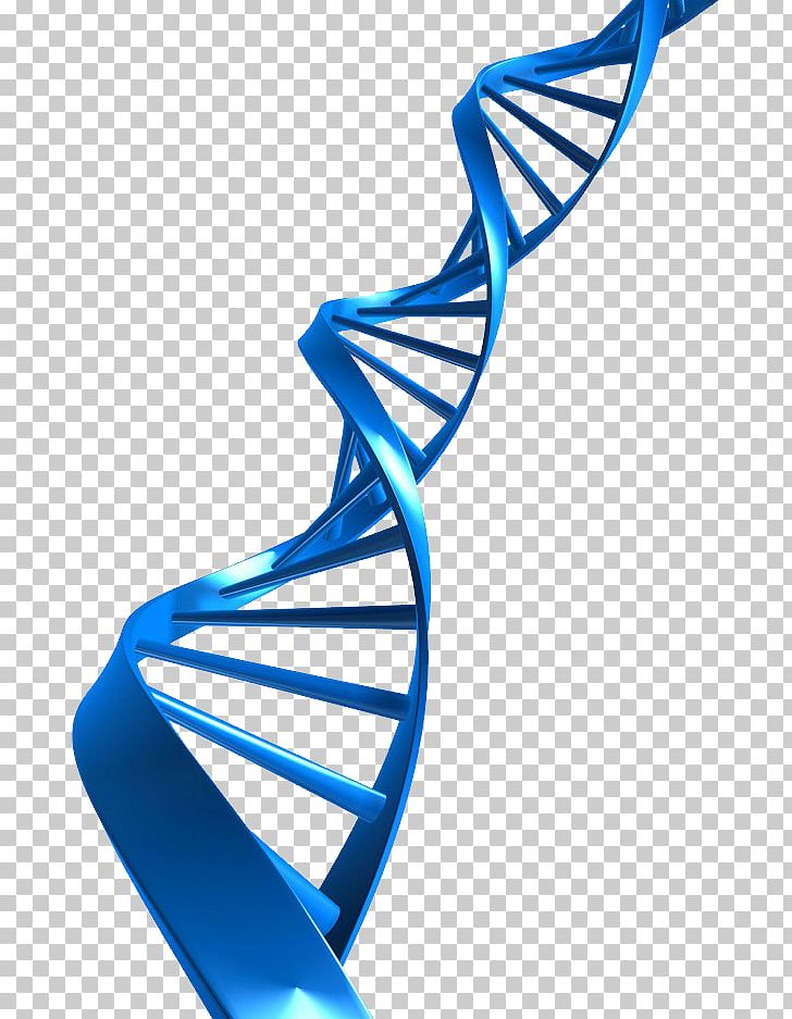 The Double Helix: A Personal Account Of The Discovery Of The Structure Of DNA Nucleic Acid Double Helix PNG, Clipart, Author, Body Jewelry, Book, Can Stock Photo, Chromatid Free PNG Download