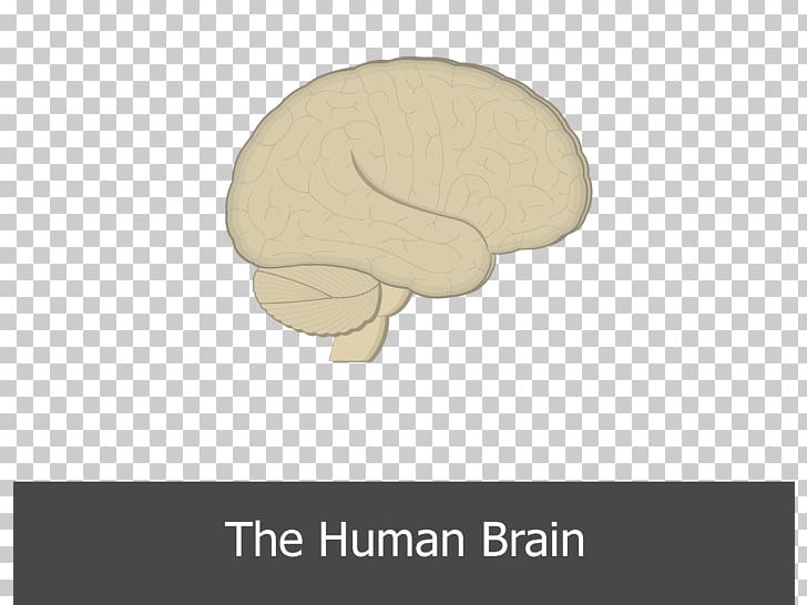 Brain Plane Jaw PNG, Clipart, Brain, Cartoon, Finger, Head, Jaw Free PNG Download