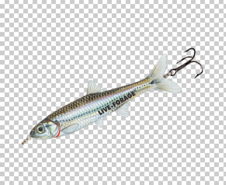 Fishing Baits & Lures Minnow Sardine Surface Lure PNG, Clipart, Bait, Coulant, Fin, Fish, Fish Fried Free PNG Download
