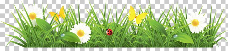 Lawn Stock Photography PNG, Clipart, Bestoftheday, Clouds, Commodity, Computer Wallpaper, Crocus Free PNG Download
