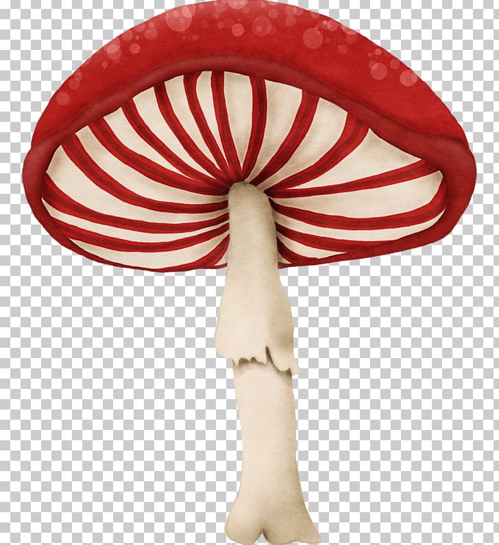 Mushroom Fungus Red PNG, Clipart, Advertising, Clip Art, Color, Drawing, Fungus Free PNG Download