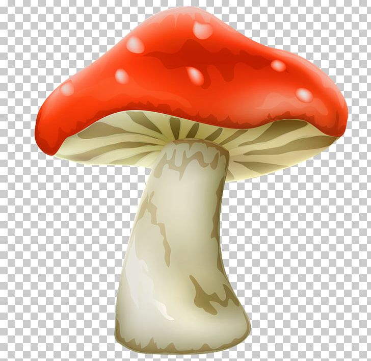 Mushroom PNG, Clipart, Amanita, Common Mushroom, Document, Fungus, Lamborghini Free PNG Download