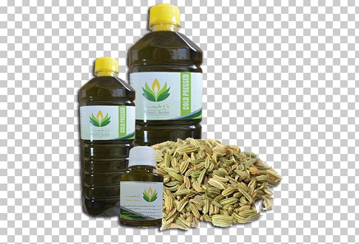 Soybean Oil Fennel Flower Herb PNG, Clipart, Caraway, Cooking Oil, English Lavender, Fennel, Fennel Flower Free PNG Download