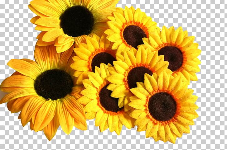 Vase With Three Sunflowers Paper Common Sunflower PNG, Clipart, Color, Cotyledon, Daisy Family, Flower, Flowers Free PNG Download