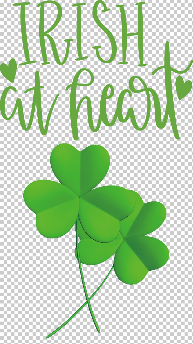 Shamrock Irish Saint Patrick PNG, Clipart, Biology, Flower, Green, Irish, Leaf Free PNG Download