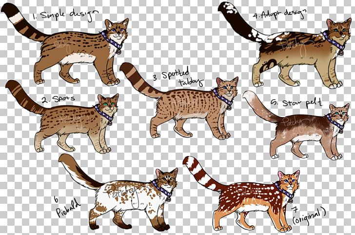 Kitten Domestic Short-haired Cat Whiskers Wildcat PNG, Clipart, Animal, Animal Figure, Animals, Canidae, Carnivoran Free PNG Download