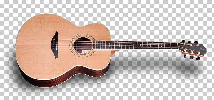 Acoustic Guitar Acoustic-electric Guitar Cuatro Tiple PNG, Clipart, Acoustic Electric Guitar, Cuatro, Cutaway, Fretless, Guitar Free PNG Download