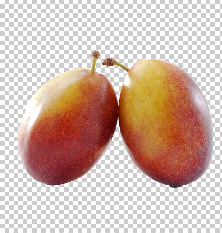 Mango Auglis Peach Fruit PNG, Clipart, Apple, Auglis, Carambola, Content Management System, Download Free PNG Download