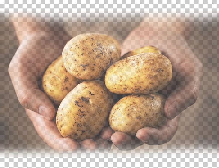 Pasco Philadelphia Los Angeles Food KFLD PNG, Clipart, Fingerling Potato, Food, Fruit, Los Angeles, Orange Free PNG Download