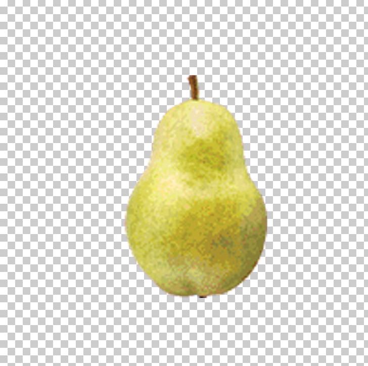 Pyrus Nivalis Fruit PNG, Clipart, Adobe Illustrator, Apple, Cartoon, Delicious, Delicious Burgers Free PNG Download