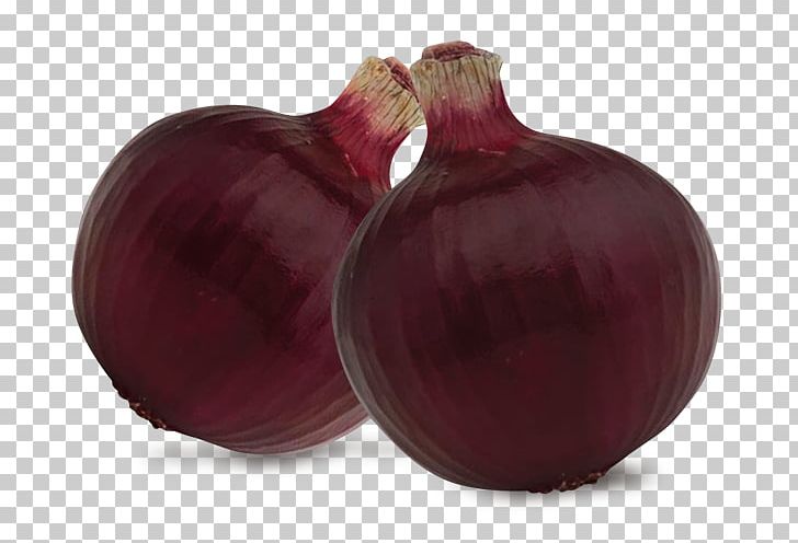 Yellow Onion Shallot Beetroot Red Onion PNG, Clipart, Beet, Beetroot, Food, Ingredient, Onion Free PNG Download