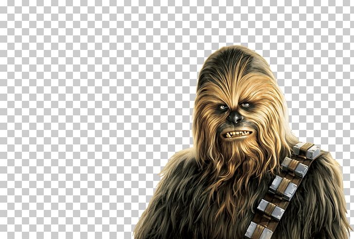 Chewbacca Anakin Skywalker Yoda Leia Organa C-3PO PNG, Clipart, Anakin Skywalker, Bb8, C 3po, C3po, Chewbacca Free PNG Download