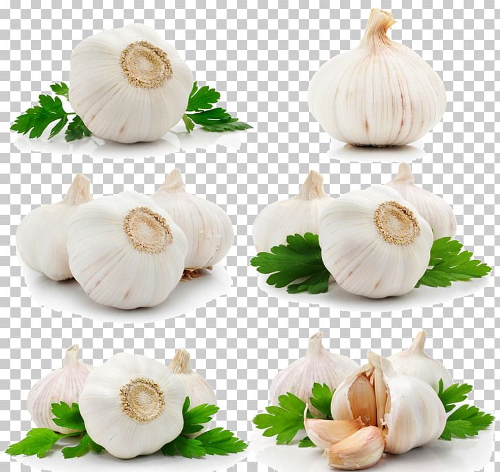 Garlic Fruit Parsley Queso Blanco Stock PNG, Clipart, All, Alphabet Collection, Animals Collection, Auglis, Can Stock Photo Free PNG Download