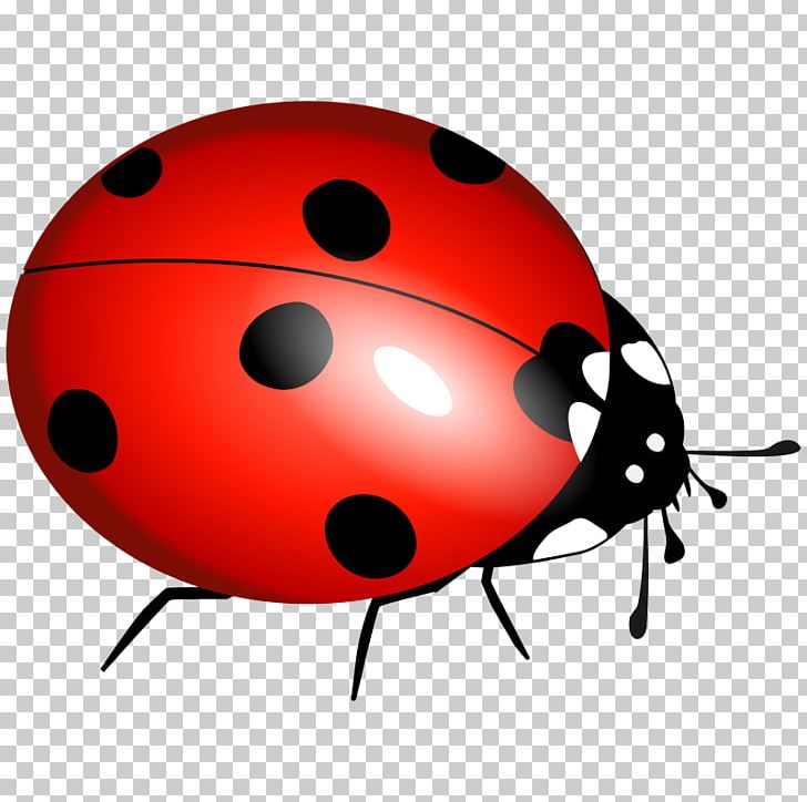 Ladybird Beetle PNG, Clipart, Android Pc, Animals, Beetle, Computer Icons, Desktop Wallpaper Free PNG Download