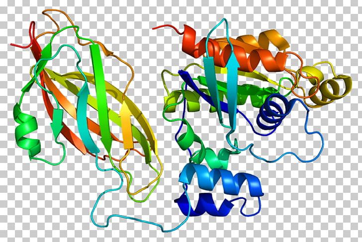 RAC1 Rho Family Of GTPases G Protein RAC2 PNG, Clipart, Artwork, Cell, Food, Gene, G Protein Free PNG Download