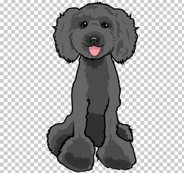 Schnoodle Puppy Poodle Dog Breed Companion Dog PNG, Clipart, Black