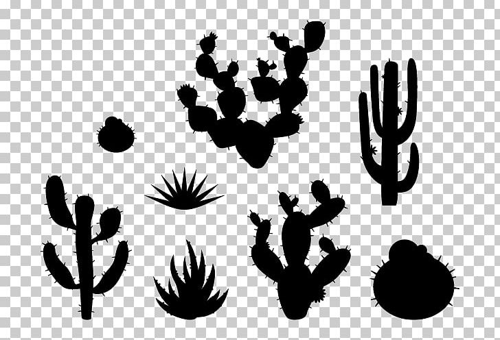 Wall Decal Desert Succulent Plant Sticker PNG, Clipart, Agave, Black And White, Cactaceae, Computer Wallpaper, Desert Free PNG Download